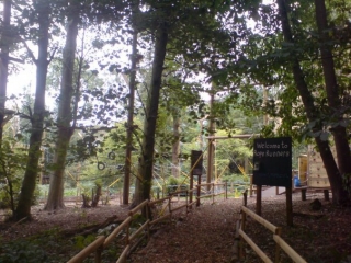 Welcome to Rope Runners